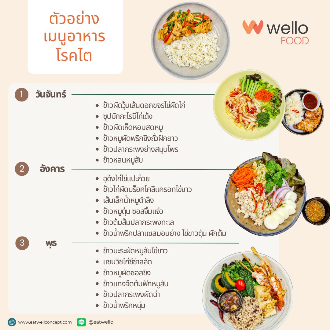 เมนูตัวอย่างอาหารโรคไตที่สามาระซื้อได้ป่านบน Wello Food